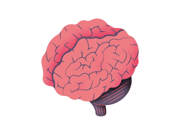 PCG Signal Analysis with Adaptive Filtering